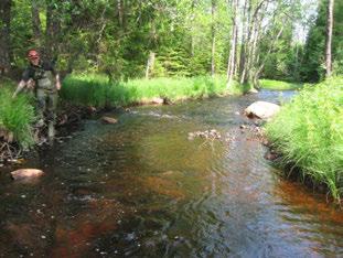 Svanån Västra kvillen Nissan () Svanån VÄSTRA KVILLEN Koordinater (RT9) 63845-37527 79 24 st/m2 3 Blandskog Ingen påverkan Påverkansgrad (-3) Strömlevande 4,8 km km 372 9,3 C,5 m 6 Kvalitativt 7 m2