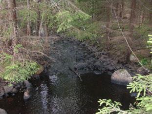 HJORSETÅN SÖDRAGÅRDSKVARNEN Lagan (98) HJORSETÅN SÖDRAGÅRDSKVARNEN Koordinater (RT9) 63685-428 245 st/m2 8 Blandskog Röjning/gallring Påverkansgrad (-3) Lämplig Strömlevande,2 km km 38 3 6,9 C,8 m 6