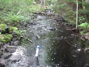 GÅRDVEDAÅN Uppströms Säljen Emån (74) GÅRDVEDAÅN UPPSTRÖMS SÄLJEN Koordinater (RT9) 634425-4687 242 69 Ojämn 5 st/m2 8 Blandskog Vattenreglering Påverkansgrad (-3) Olämplig Strömlevande,5 km,6 km 378
