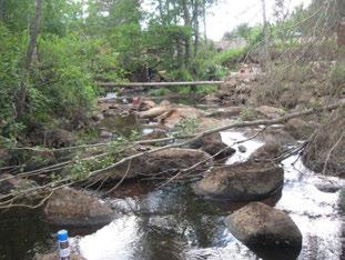 BRUSAÅN HÖGEBRO Emån (74) BRUSAÅN HÖGEBRO Koordinater (RT9) 63882-4833 55 8 Ojämn st/m2 3 Blandskog Vattenreglering Påverkansgrad (-3) 2 Kraftig Strömlevande 3,2 km 7,5 km Uppströms 377 8 C,25 m 4
