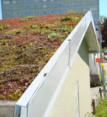 Sedumtak/grönt tak För att minska avrinningen från tillkommande takytor kan dessa förses med sedumtak, se exempel i Figur 11.
