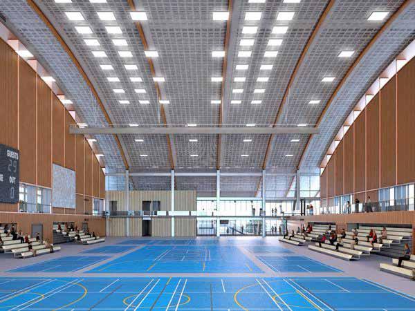 Research Trähallar NTU Sport and Recreation Centre Gymnasium Régis Racine Clamart Sport Centre Odate Jukai Dome Plan