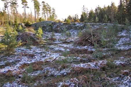 14 Bohusläns museum 2007:63 Toppen Mot förmodan visade det sig att förundersökningsområdets översta del längst i sydöst hyste lämningar som tillsammans utgör ännu en boplats.
