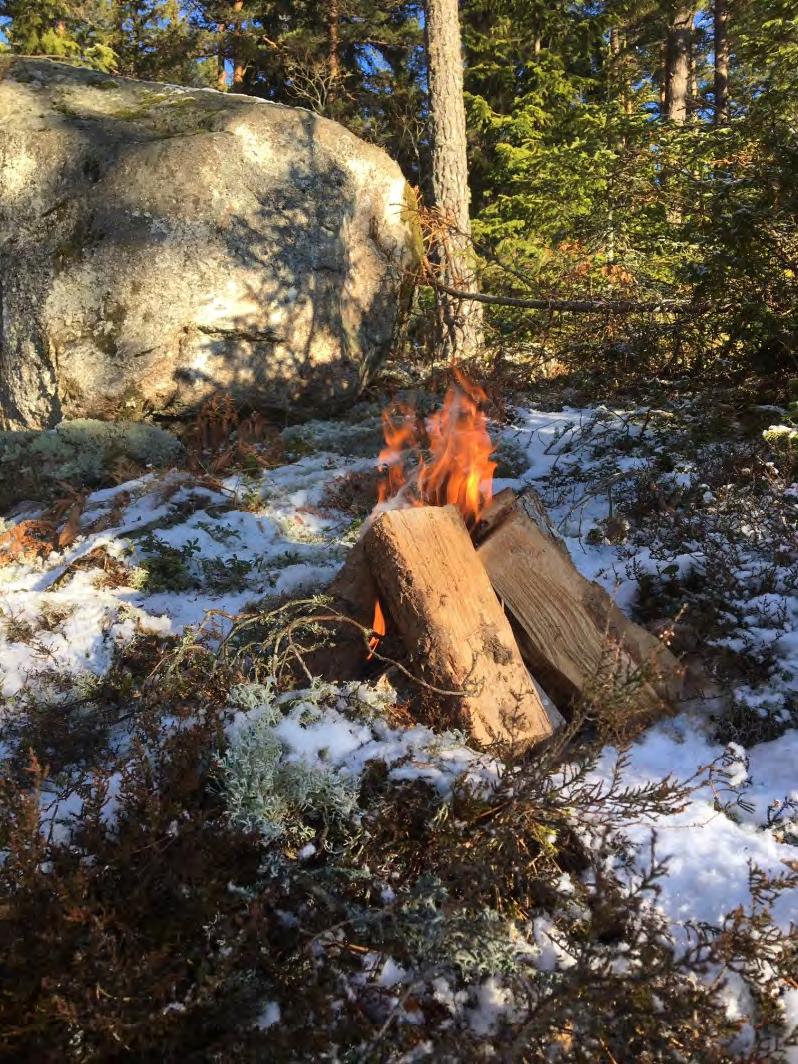 Nu är det 2017 - Nu kör vi! Ny organisation! Här finns länken: http://www.naturvardsverket.