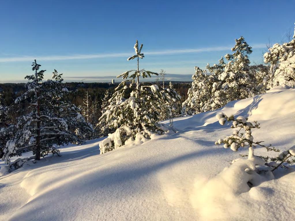 ANSLAGET FÖR SKYDD AV VÄRDEFULL NATUR, 1:15 2017 Maria Tiricke enhetschef