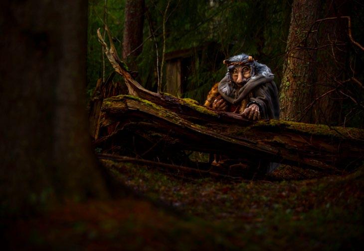SERIER ROTVÄLTA 3. ROTVÄLTA Bilden är tagen vid Björnaby skogar, norr om Örnsköldsvik. Folktrons troll bodde djupt inne i skogen. De levde tillsammans i berg och högar och kunde bli väldigt gamla.