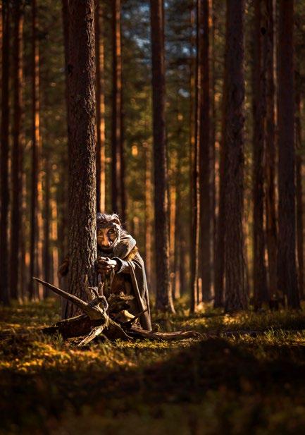SERIER SKUGGSPEL 5. SKUGGSPEL Bilden är tagen vid Angsta skogar, norr om Örnsköldsvik. Folktrons troll är i likhet med naturen varken goda eller onda.