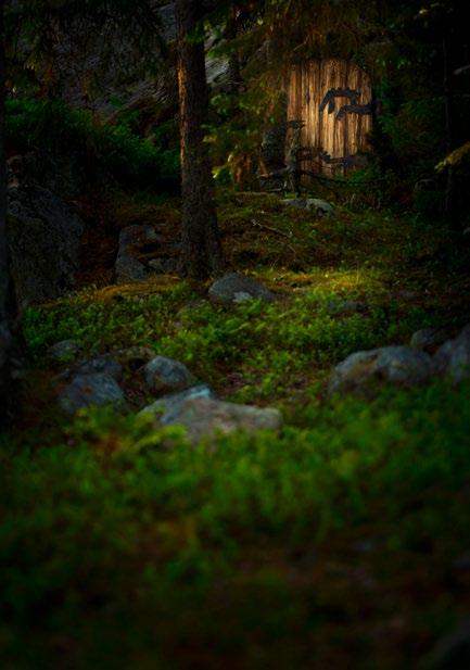SERIER TROLLHEM 6. TROLLHEM Bilden är tagen vid Härnöklubb naturreservat, Härnösand. Folktrons troll var enligt den nordiska mytologin ättlingar till eld- och isjättar.