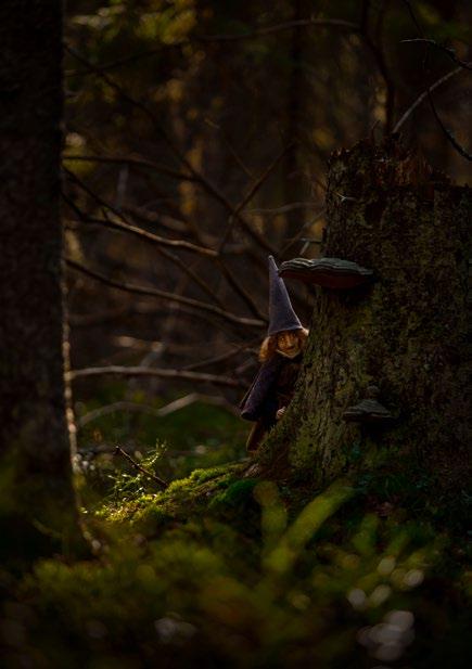 SERIER ÖGONBLICK 10. ÖGONBLICK Bilden är tagen vid Härnöklubb naturreservat, Härnösand. Folktrons vitterfolk levde i vår närhet, men valde för det mesta att förbli osynliga.