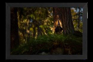 Stort hjärta för gården, litet tålamod med folk.