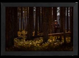 FOTOGRAFIER OKNYTT TAVLOR OCH direktförsäljning