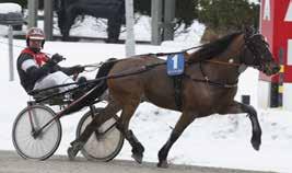SENASTE TÄVLINGSDAGEN 12 februari Lill Micke och Claret Jug var två fina hemmavinnare efter fina ryggresor.