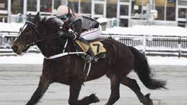 HÄNT SEN SIST nyheter från gävletravet Romme 13 februari Urban G Eriksson, Vittinge, är uppfödare, ägare och tränare till Ready For Money som tillsammans med Kaj Widell i sulkyn segrade på Rommes