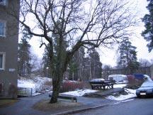 2 Område 2, fastigheten Stadsbudet 1 m m, används idag för parkering av AB Stockholmshem som också har kompostering intill