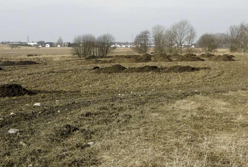 uv väst rapport 2009:18 arkeologisk utredning Skultagården i