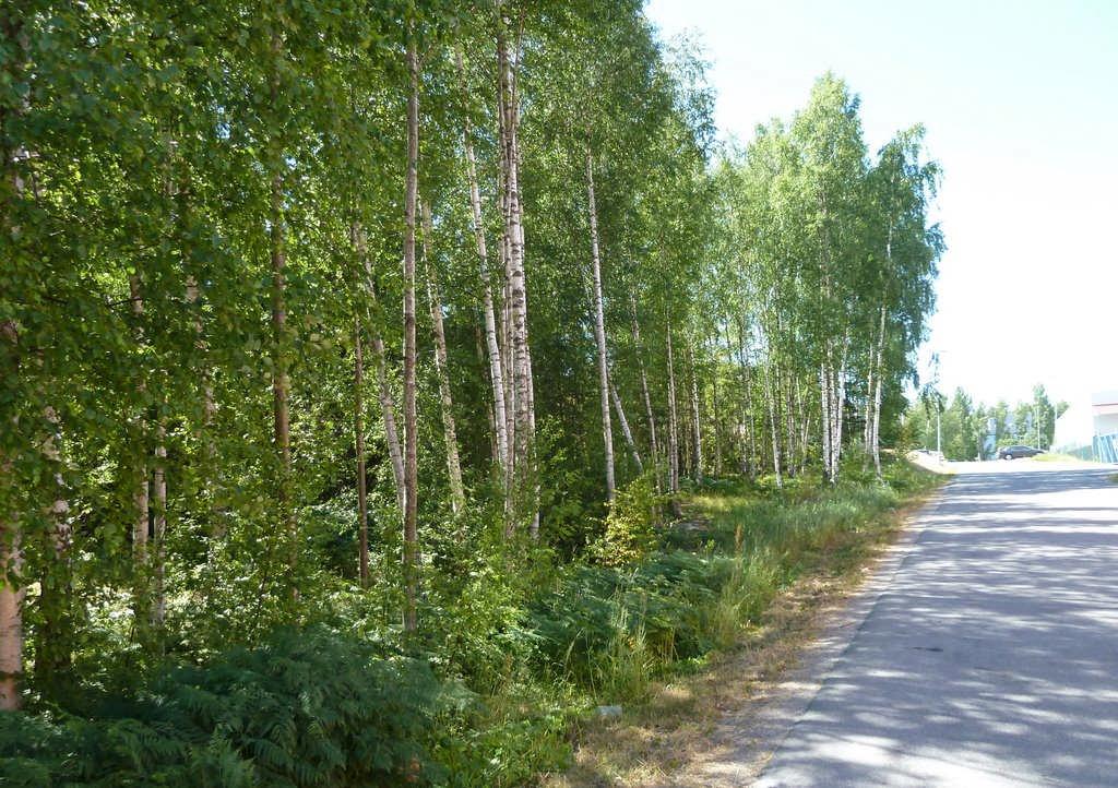6/16 FÖRUTSÄTTNINGAR Befintlig mark och natur Förutom befintliga industrifastigheter består området till största del av ett flertal skogsbevuxna och kuperade bergknallar med en nivåskillnad på upp
