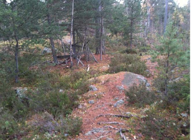 8/16 Karaktärsbild från AIX arkitekter, naturinventering utförd hösten 2010.