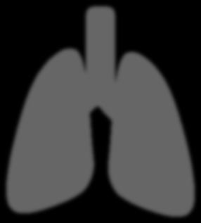 The main SOFA-problem outside ICU Grading of respiratory dysfunction PaO 2 /FiO 2 PaO 2