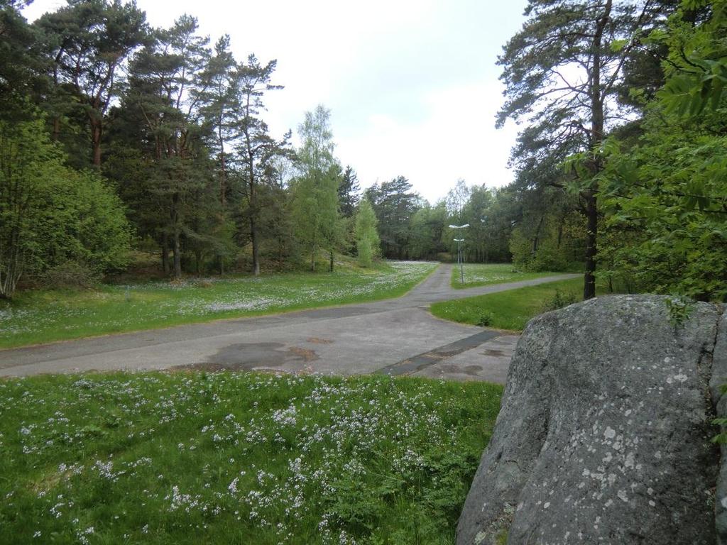 F:\LILLEBY\DEL 2_FK_.docx Kort 1 taget mot väster från bergparti öster om planområdet. Terrängen utgörs av skogsmark med buskar och träd i ytterkanterna av planområdet.