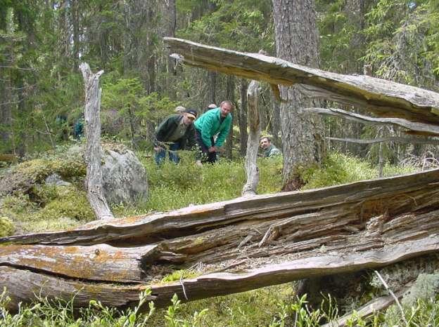 Hänsynsplan Distrikt Bredbyn Anundsjödelen Klockenreservatet, Brattsjö Datum: