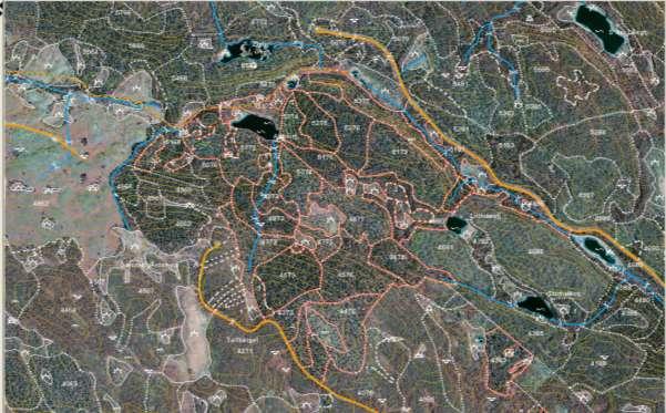 För att tillskapa en större andel lövdominerade bestånd kommer lövträd att gynnas i gallring på ståndorter där lövträd utvecklas väl. Barrträd kan där komma att gallras bort i första hand.