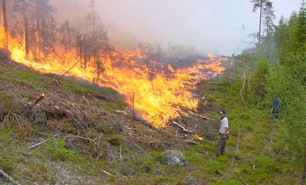 5.3. Brand 5.3.1. Mål I referenslandskapet beräknas det inom distrikt Bredbyn i genomsnitt ha brunnit omkring 1800 ha årligen (knappt 0,9 % av arealen).