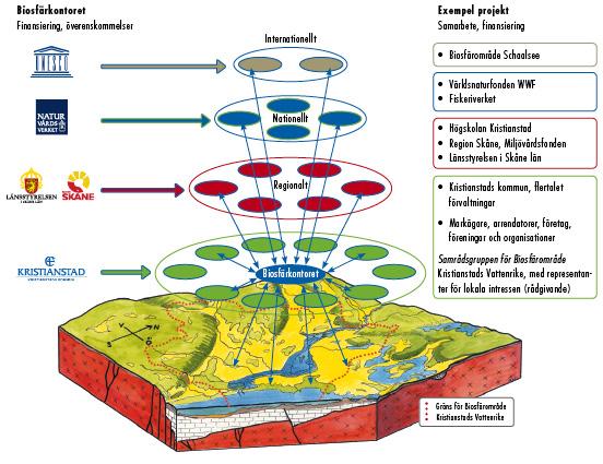 Biosfärområden är modellområden för hållbar utveckling. Här möter teorin praktiken.