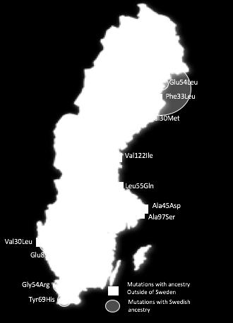 Vi har dock också en mutation dels hos en invandrad familj, dels från en svensk familj utan kända släktband till utlandet. Det är således en mycket brokig bild som framträder (5).
