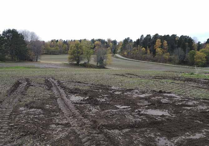 En boplats inom Kagghamra tomtområde Arkeologisk förundersökning i avgränsande syfte av del av RAÄ Grödinge