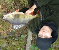 Månadens fisk oktober Abborre 50 gr fångad av Tomas Karlsson i Kalmarsund 07-- Månadens fisk November Månadens fisk för november blir en gös på 7300gr tagen av Olof Engstedt i Krön.