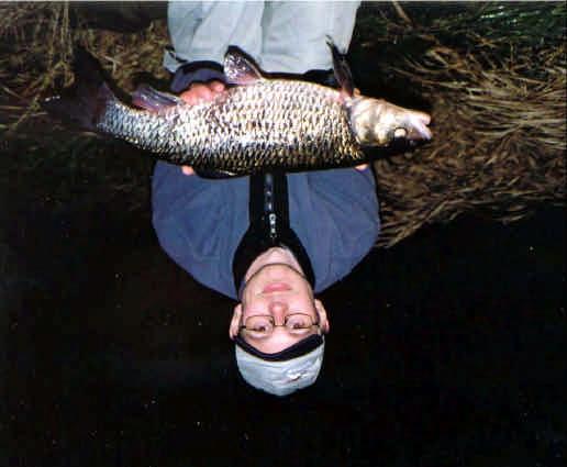 Färna 2800 gr fångad av Andreas Niklasson i Emån 2004-11-15 Eftersom vårfisket efter färna gick åt skogen kände jag att jag ville testa på att utmana höstfärnorna.