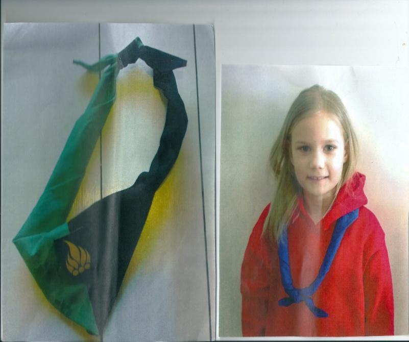 8 Ronja byter scout Vi ska nu intervjua Ronja Lundberg om hur det känns att byta scout.