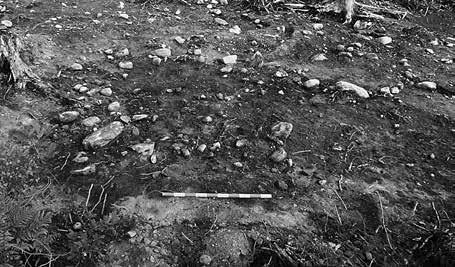 152 Hyddlämningar från äldre Hensbacka en fråga om förändrad metodik? In Situ Figur 1. Översiktskarta med platsen för undersökningen markerad.