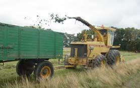 Mean +/ SD, n=4 1 8 6 4 2 Biomass yield 17 Sep Biomass yield 26 June