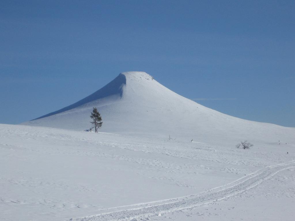 Nordisk Miljörättslig Tidskrift Nordic