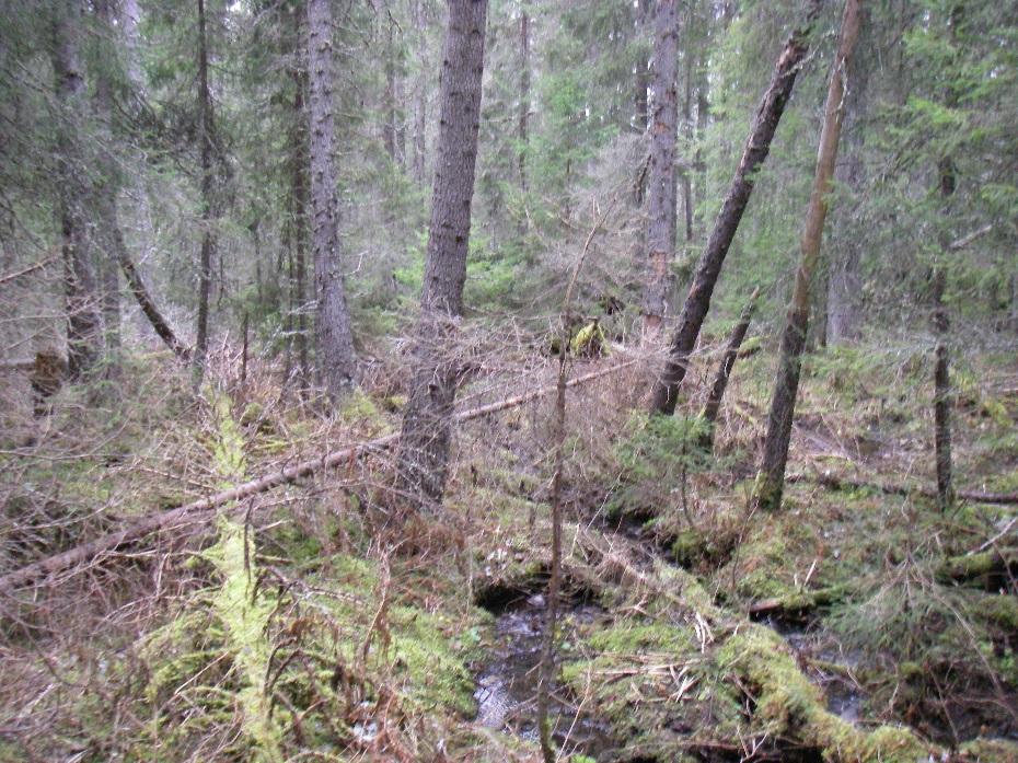1 / 10 Beslut Datum 2017-10-23 511-4844-2014 Dnr (anges vid skriftväxling) Dossiénr NVR2046670 Beslut för bildande av naturreservatet Näxåsen Uppgifter om naturreservatet Naturreservatets namn:
