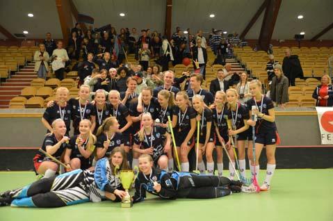 Stockholmsligan & Stockholmscupen I samband med att förbundet beslutat förändra serieutformningen inför säsongen 2015-2016 så utgick det tidigare slutspelet för ungdomar.