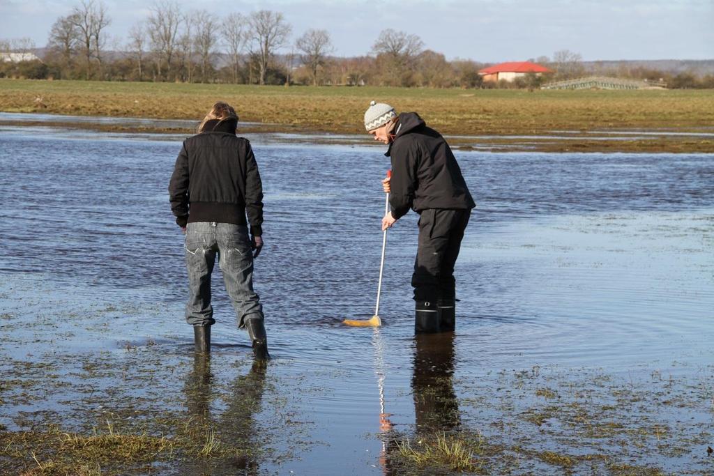 Bristande födotillgång och torrare vårar på