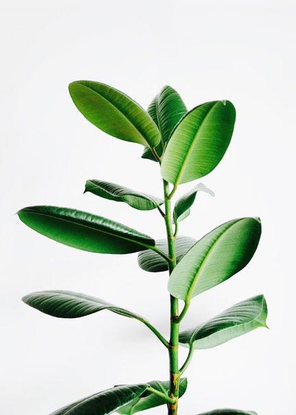 EHOVSSTYRT VENTILTIONSSYSTEM FÖR VILPE ECO TKFLÄKTR VILPE ECo Ideal Wireless REGLERR UTOMTISKT VENTILTIONEN I DITT HUS Oavsett om du renoverar eller bygger nytt, är det behovsstyrda och energisnåla
