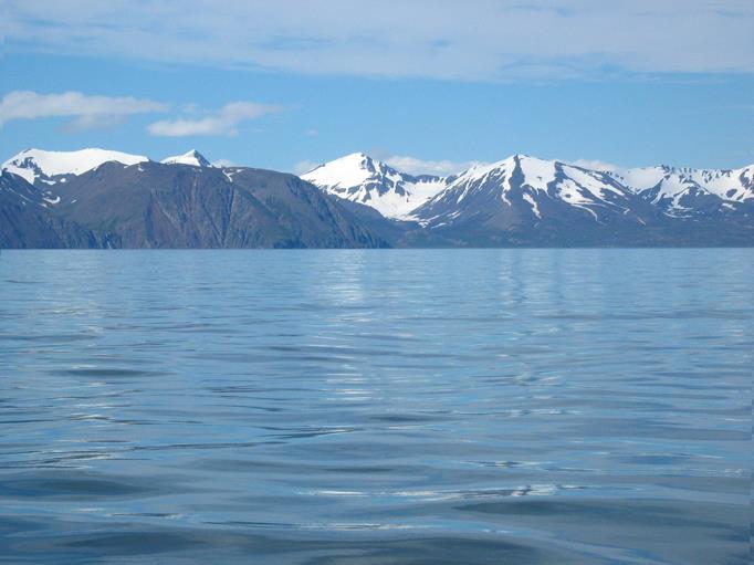 Ca år 1000 seglade Leif Eriksson till Amerika.