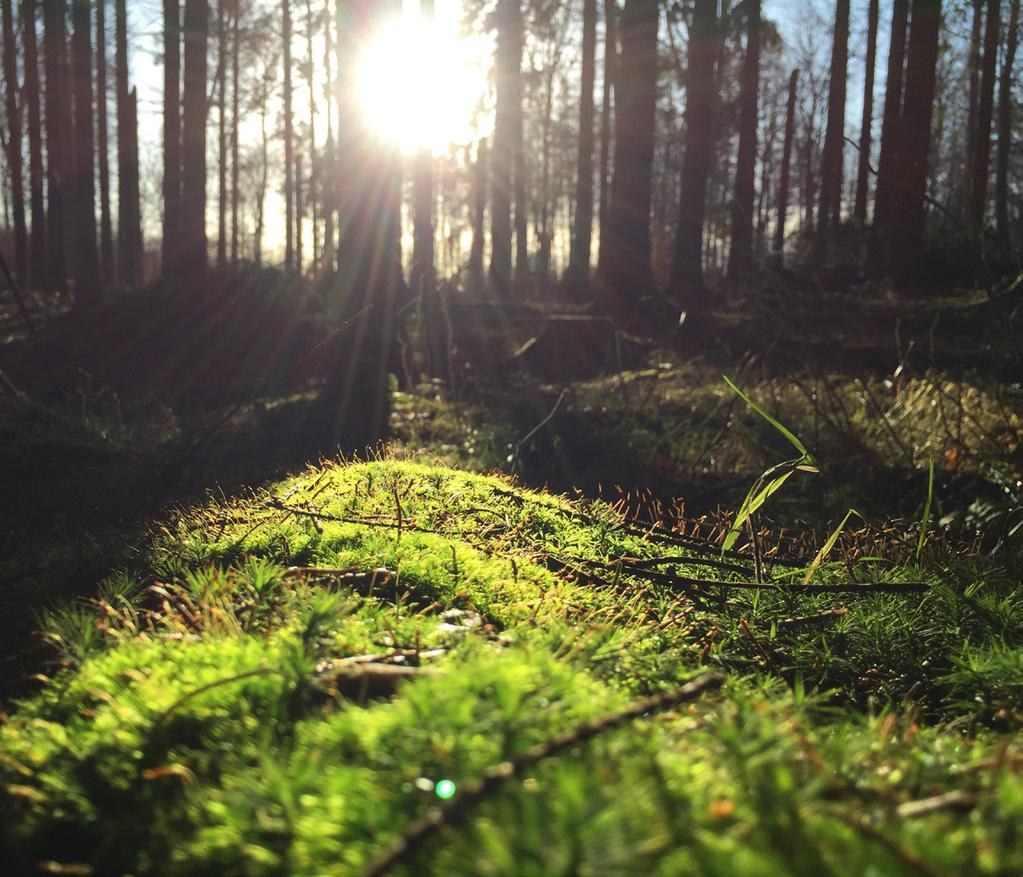 rra en väg gen vä Tyska P1 P2 K4 K3