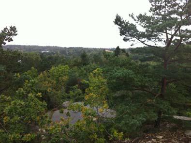 Nrra delen Nrra delen av detaljplanemrådet består av jrdtäckt berg ch det går inte att säga någt m bergstabiliteten mer än att det trligtvis ser ut sm i övriga mrådet med relativt flacka naturligt