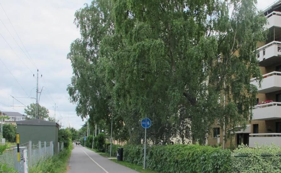 Järnvägspromenaden Gång- och cykelvägen längs järnvägen är en livligt trafikerad förbindelse mellan de norra och nordvästra stadsdelarna och Resecentrum.