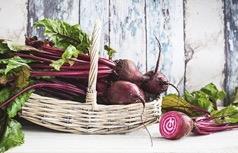 Utsikter för Styrelsen för Rootfruit vidhåller tidigare prognos att bolaget med planerad produktutveckling och befintliga avtal kommer att kunna fortsätta sin goda försäljningsökning med tillväxt om