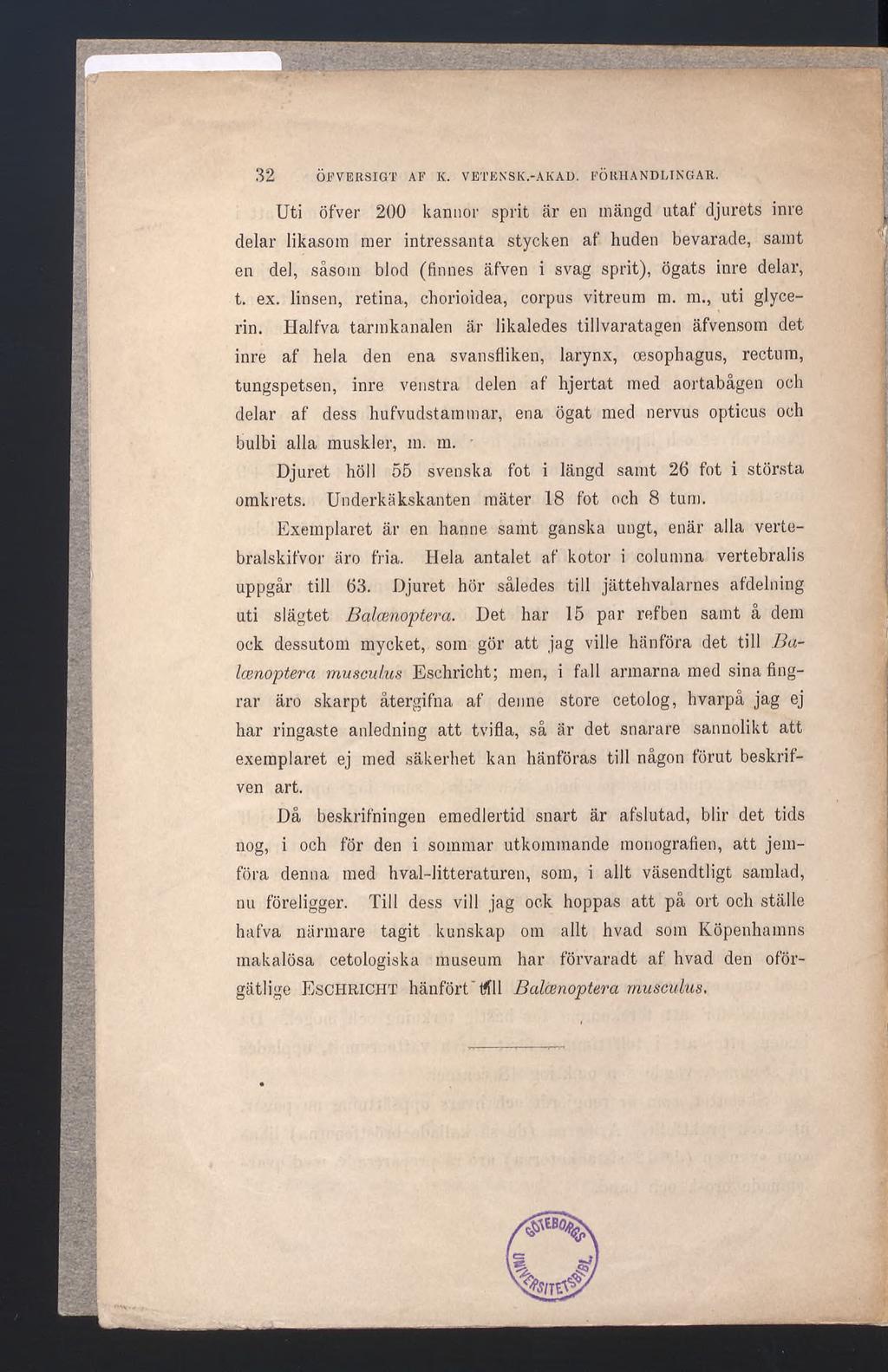 32 ÖFVERSIGT AF K. VETENSK.-AKAD. FÖRHANDLINGAR.