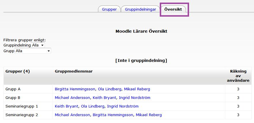 Du kan även välja att klicka upp fliken Översikt, markerad nedan och då ser du precis vilka medlemmar de olika grupperna består av.