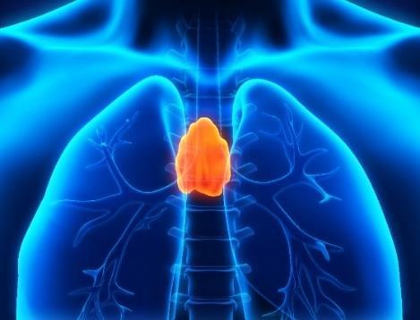 3 TIPSTOLVA 2018 Tema metylgruppens kemi Bildning av kvävebasen tymin för inbyggnad i DNA sker på ett komplicerat sätt. Först bildas uridinmonofosfat deoxynukleotid (dump, se nedan för struktur).