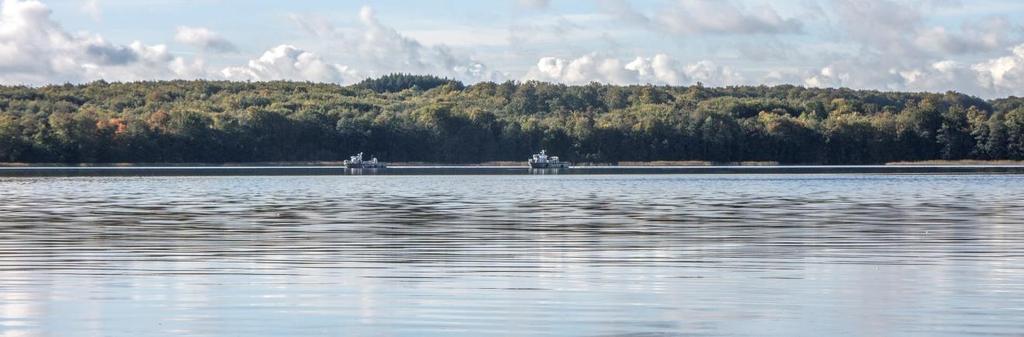 Rönne å vattenkontroll 214 Jämförelse med äldre undersökningar Bottenfaunan i Västra Ringsjön har även före 25 undersökts vid upprepade tillfällen.