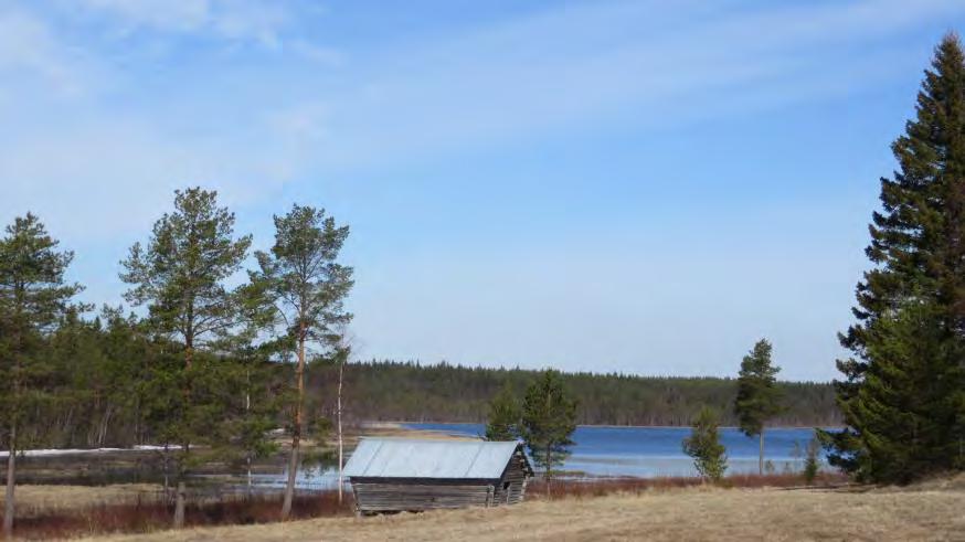 Sportfiskeutveckling i Jävre, Jävreån och skärgården?