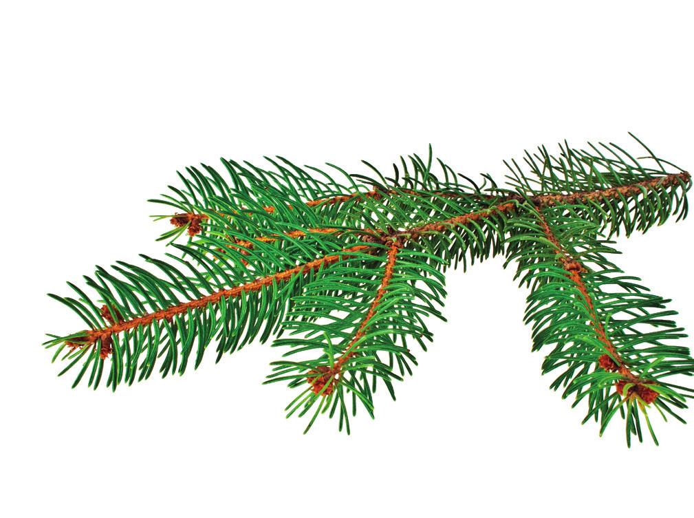 Starta julhandeln
